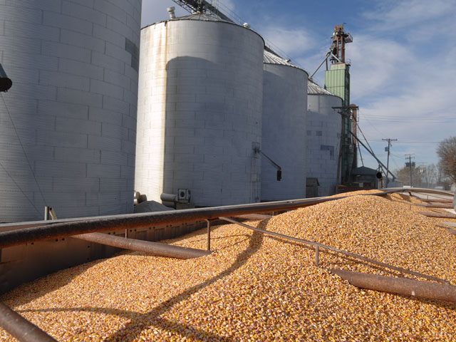 Tax analysts said the new tax law potentially could significantly skew producers&#039; decision on which type of business entity with which to market their commodities. (DTN/The Progressive Farmer photo by Jim Patrico)